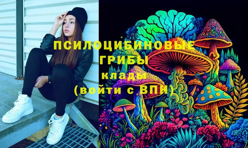 как найти закладки  Енисейск  Псилоцибиновые грибы Cubensis 